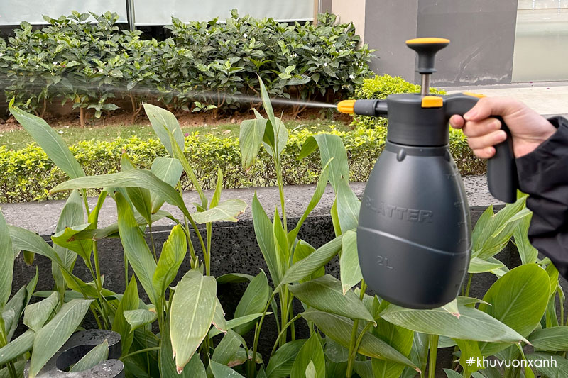 Bình tưới cây áp suất