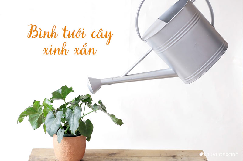 Bình tưới cây được sản xuất từ nhôm