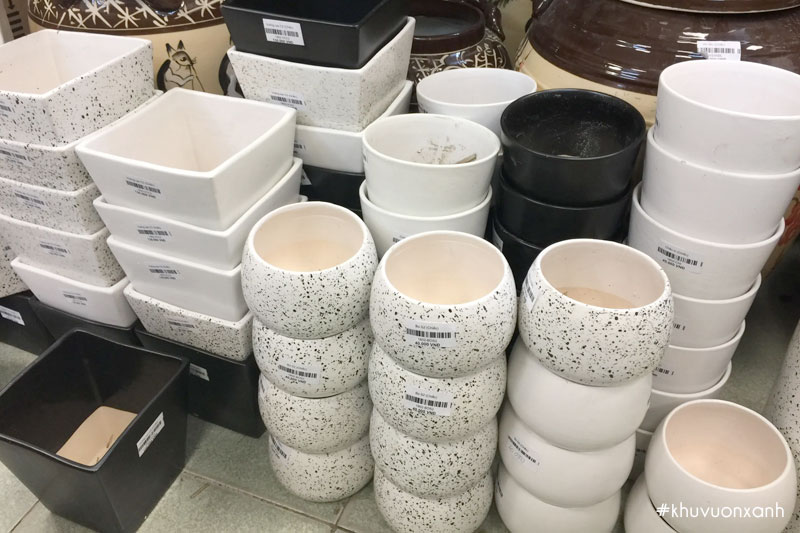 chon chau trong sen da phu hop