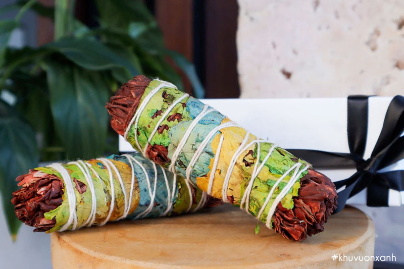 Bó lá xô thơm huyết rồng (Dragon blood sage)