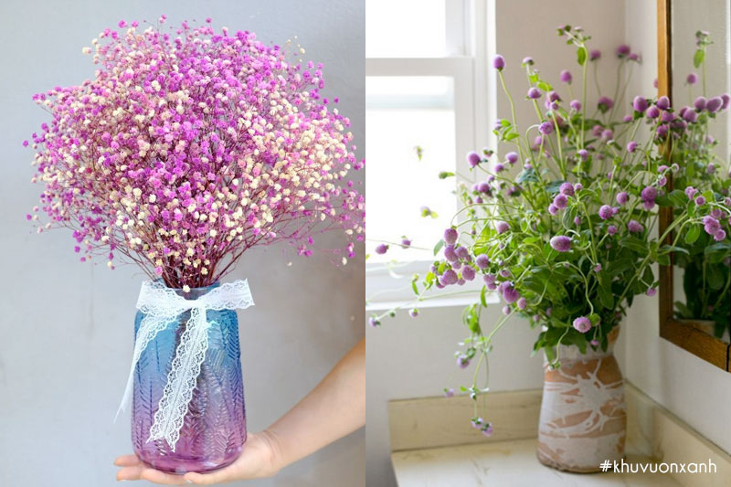 Cách cắm bình hoa cúc Bách nhật tươi và khô