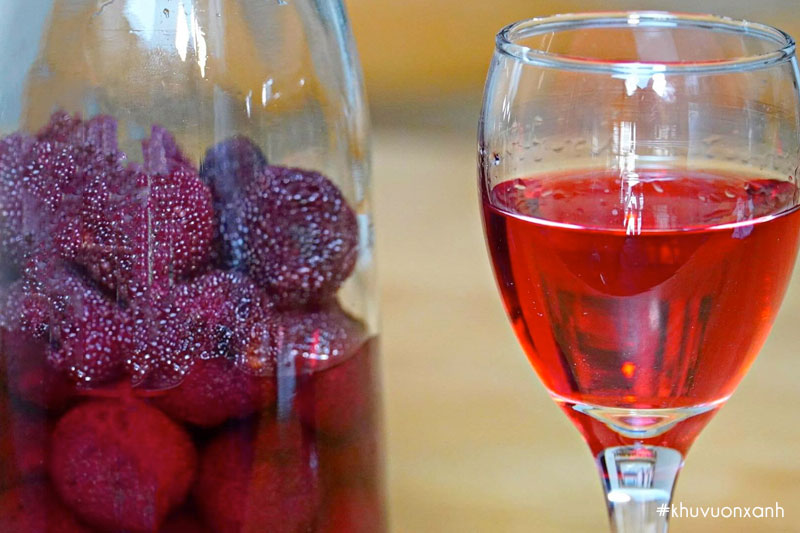 Cách ngâm rượu quả Thanh mai (Dâu rừng)