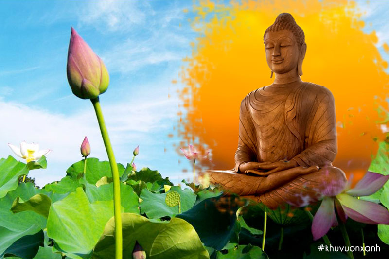 Ý nghĩa của hình ảnh hoa Sen trong Phật giáo