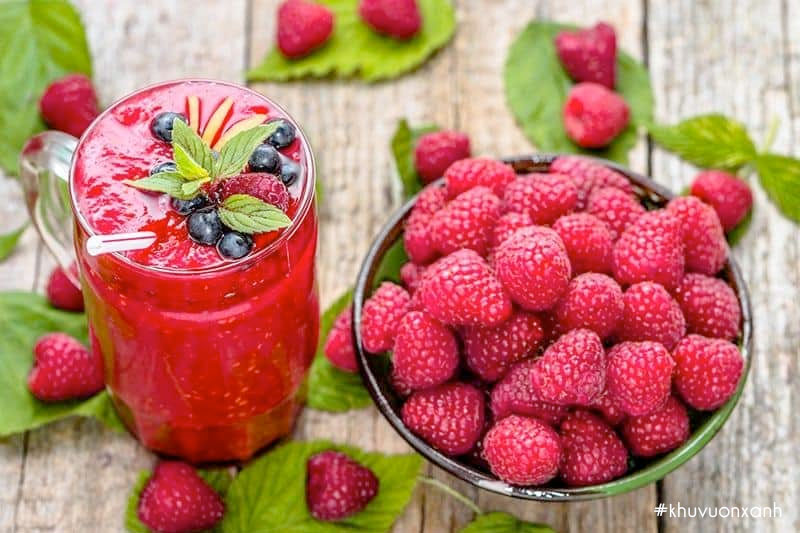 Sinh tố quả Mâm xôi (Phúc bồn tử)
