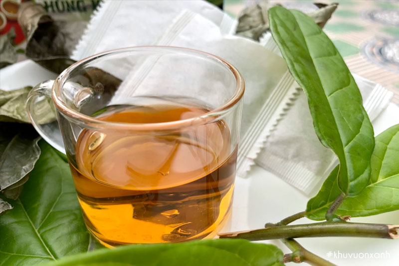 Uống nước xạ đen hàng ngày theo tư vấn của Bác sĩ