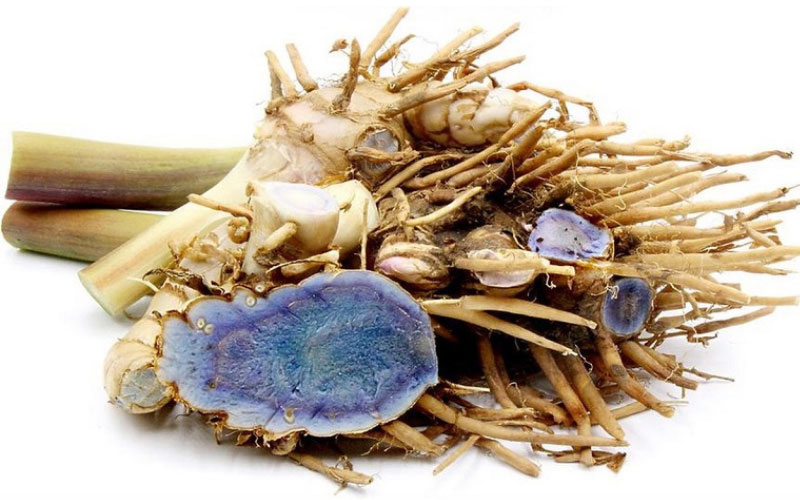 Bên trong củ nghệ đen có màu tím