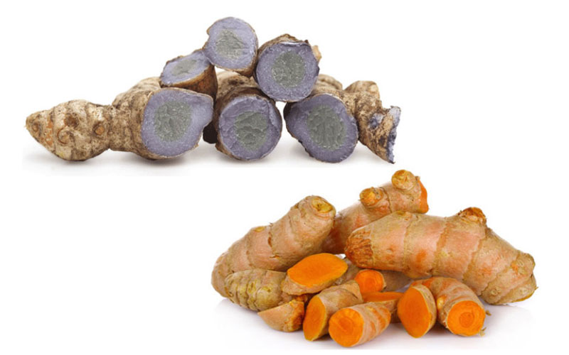 Nghệ đen và nghệ vàng không thể thay thế cho nhau