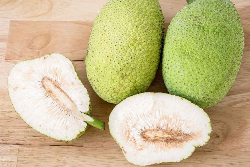 Quả sa kê rất giàu dinh dưỡng