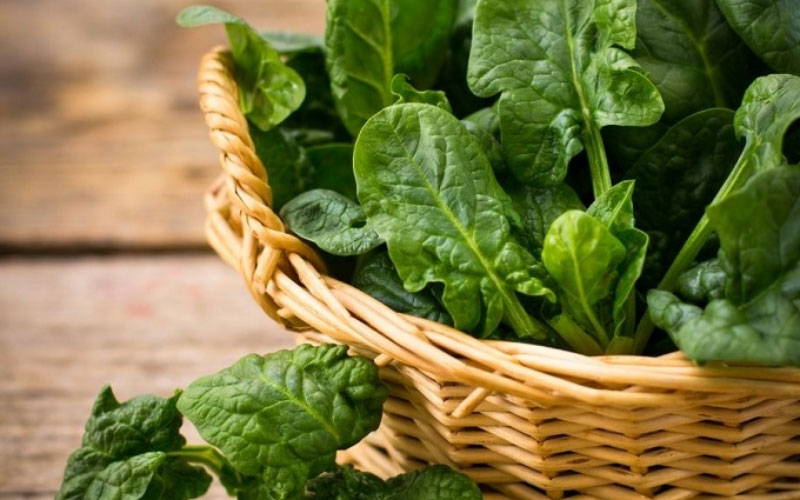 Rau chân vịt ngăn ngừa bệnh ung thư