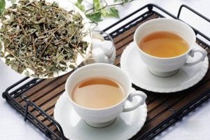 Uống nước Xạ đen hàng ngày có tốt không?