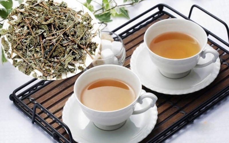 Uống nước cây Xạ đen hàng ngày rất tốt cho sức khỏe nếu dùng đúng liều lượng