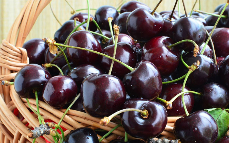 Cherry đen(black cherry) rất hiếm và ít được bày bán trên thị trường