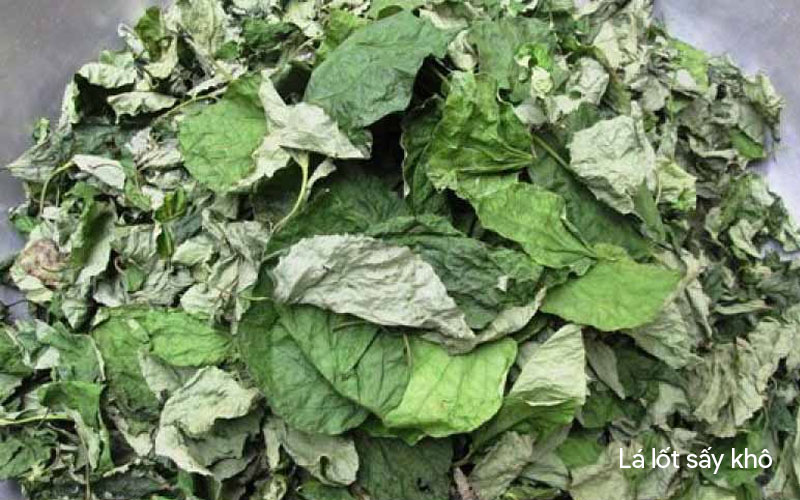 Lá lốt khô có tác dụng với người bị xương khớp