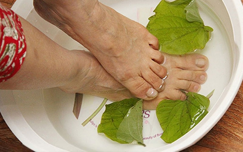 Cây lá lốt đun nước ngâm chân chữa hôi chân