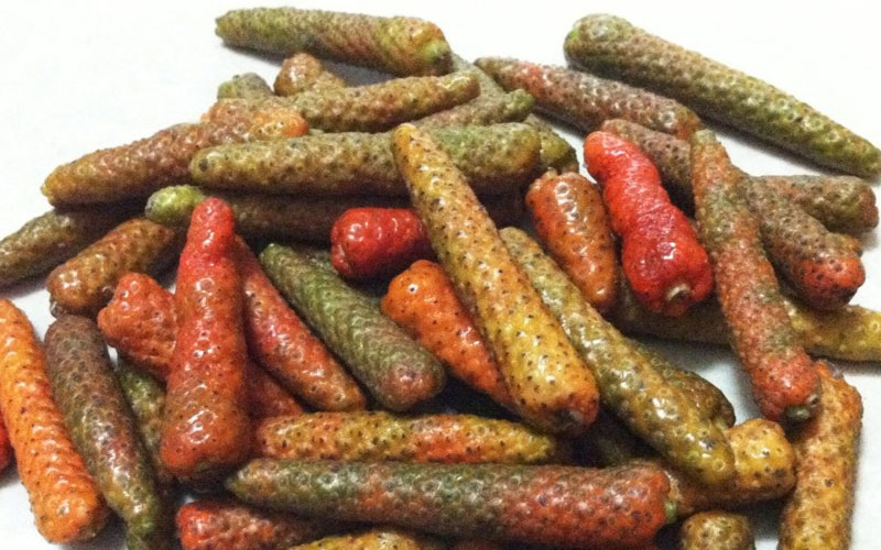 Quả tiêu lốt được dùng làm gia vị món ăn và làm thuốc