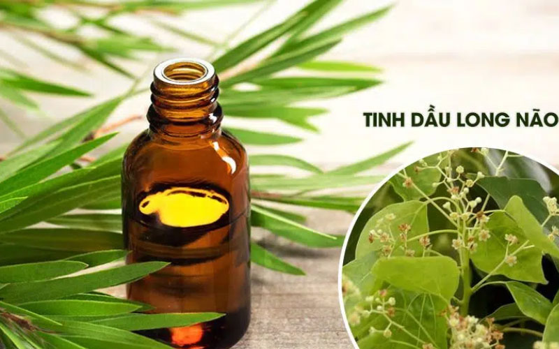 Tinh dầu long não để xoa bóp ngoài da