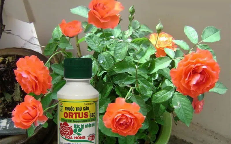diet-nhen-do-bang-thuoc-tru-sau-ortus-5sc