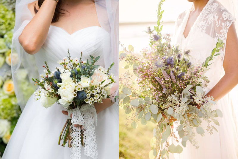 Hoa thanh liễu được dùng để làm quà tặng, hoa đám cưới rất đẹp và ý nghĩa