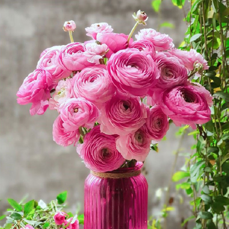 Một số cách cắm hoa Mao lương đẹp