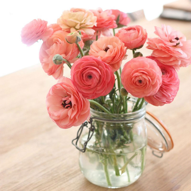 Một số cách cắm hoa Mao lương đẹp