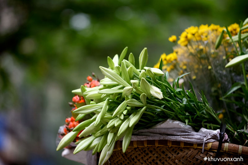 Những xe chở đầy hoa loa kèn vào tháng 4 đã trở thành nét đẹp rất riêng của Hà Nội