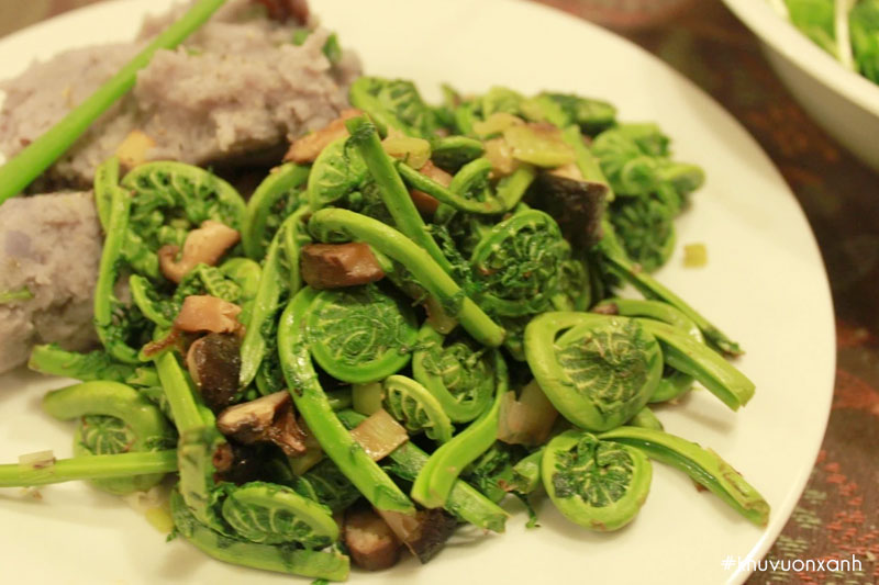 Món ngon rau dương xỉ xào