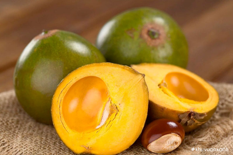 Hàm lượng dinh dưỡng có trong quả lekima rất cao