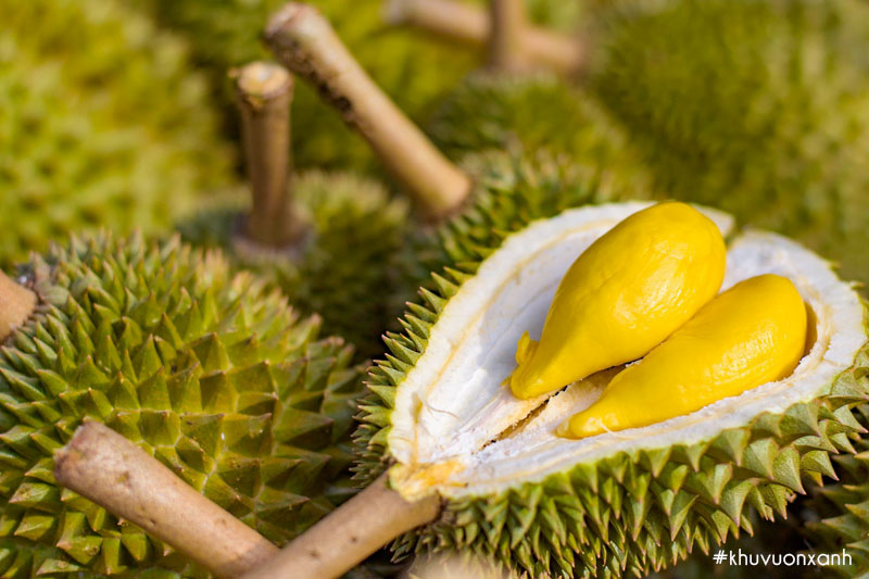 Sầu riêng Musang King Durian ruột vàng