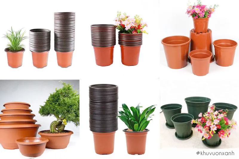 Chi phí của chậu nhựa trồng cây rất đa dạng trên thị trường