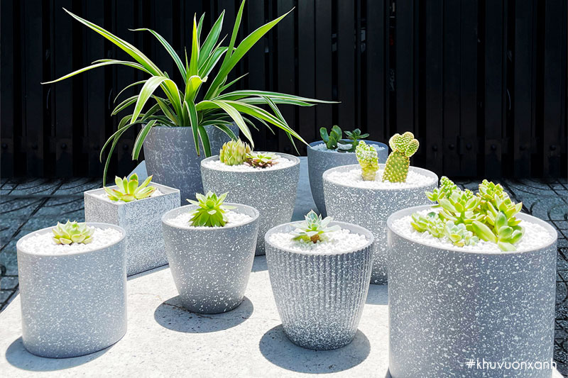 Chậu nhựa giả vân đá đẹp mắt