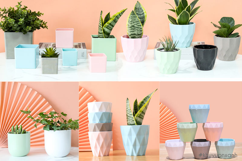 Chậu nhựa mini dùng để trang trí không gian trong nhà
