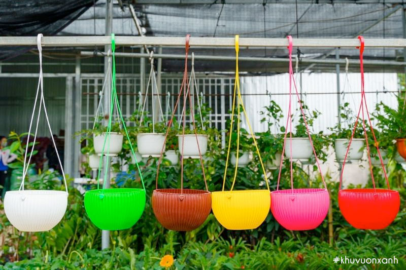 Chậu nhựa treo trồng cây và hoa đa năng