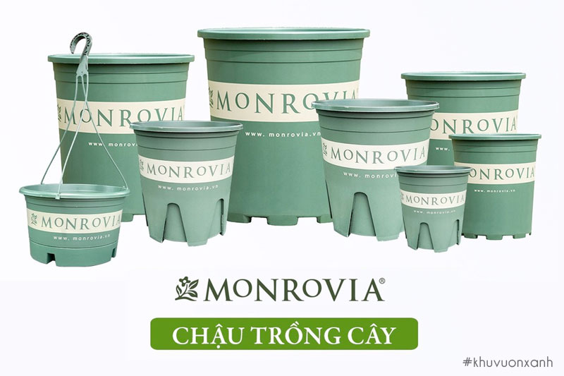 Chậu nhựa trồng cây Monrovia chính hãng
