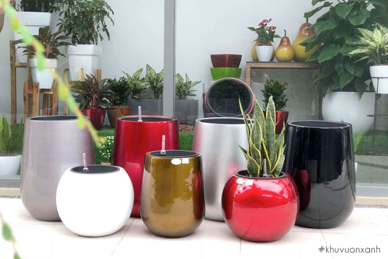 Chậu nhựa tự tưới, dưỡng cây thông minh