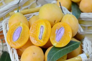 Cách ăn Quả thanh trà chuẩn vị chua ngọt