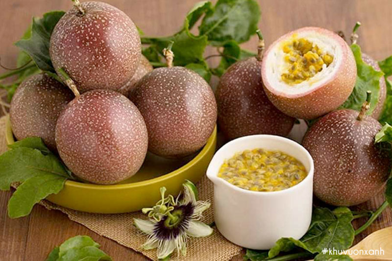 Chanh dây thông đỏ Đài loan - Tai Shiang