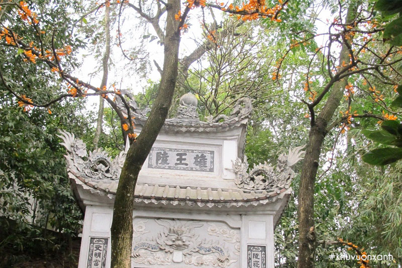 Cây Rà đẹt lửa đền Hùng