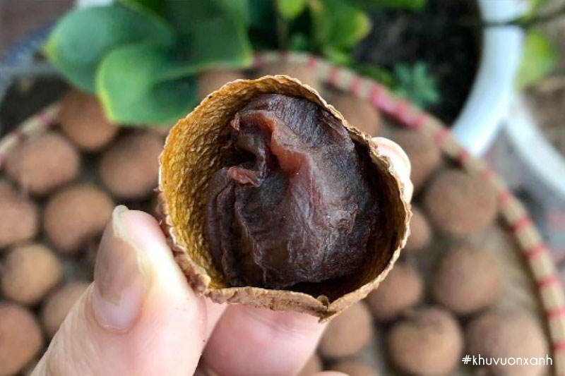 Vải khô giúp giảm cân, tiêu mỡ