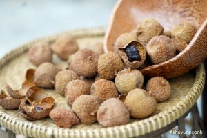 Quả Vải khô - Giá trị dinh dưỡng, Cách chế biến và Bảo quản