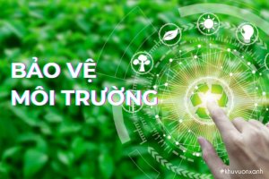 Bảo vệ môi trường - Ý nghĩa, Lợi ích và Trách nhiệm của mỗi chúng ta