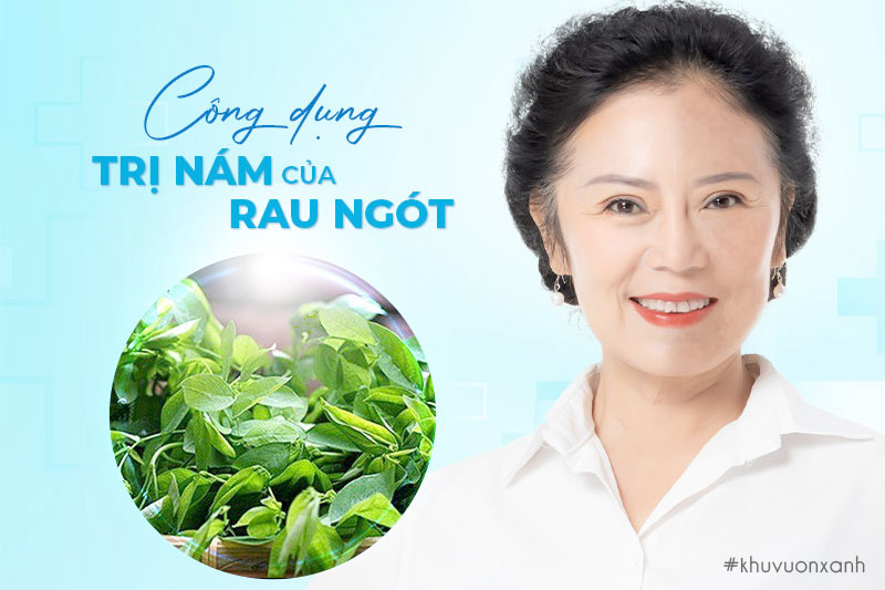 Công dụng trị nám da của rau Ngót