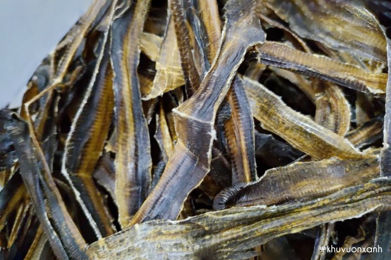 Địa long(Giun đất sấy khô) là một vị thuốc trong Đông Y