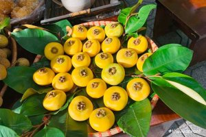 Tại sao Quả Thị thơm nức mũi thường để ngửi chứ ít khi ăn?