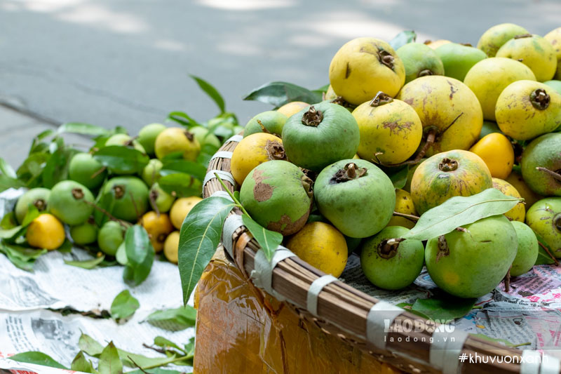 Quả thị muộn hay còn gọi là thị thơm