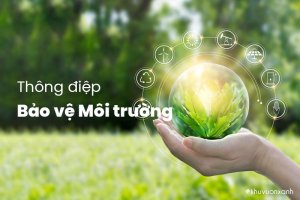 50+ Thông điệp Bảo vệ môi trường hay, ý nghĩa, dễ nhớ theo từng chủ đề