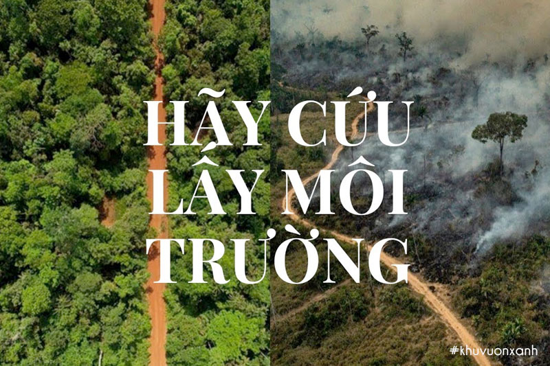 Thông điệp bảo vệ môi trường rừng - Hãy cứu lấy môi trường
