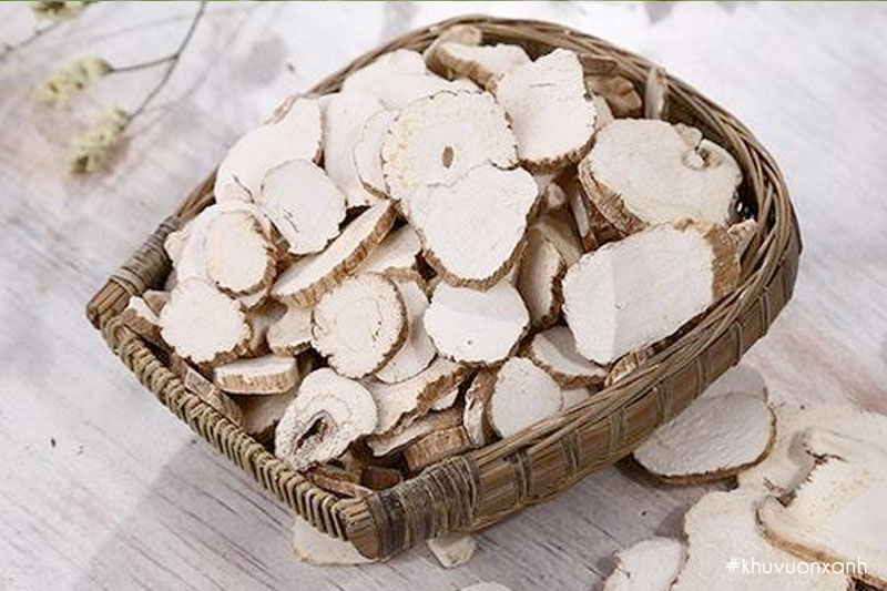 Bạch chỉ khô thái lát có bán sẵn trên thị trường
