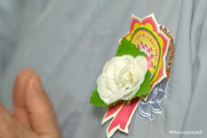 Nguồn gốc và Ý nghĩa Bông hồng cài áo trong Lễ Vu Lan báo hiếu