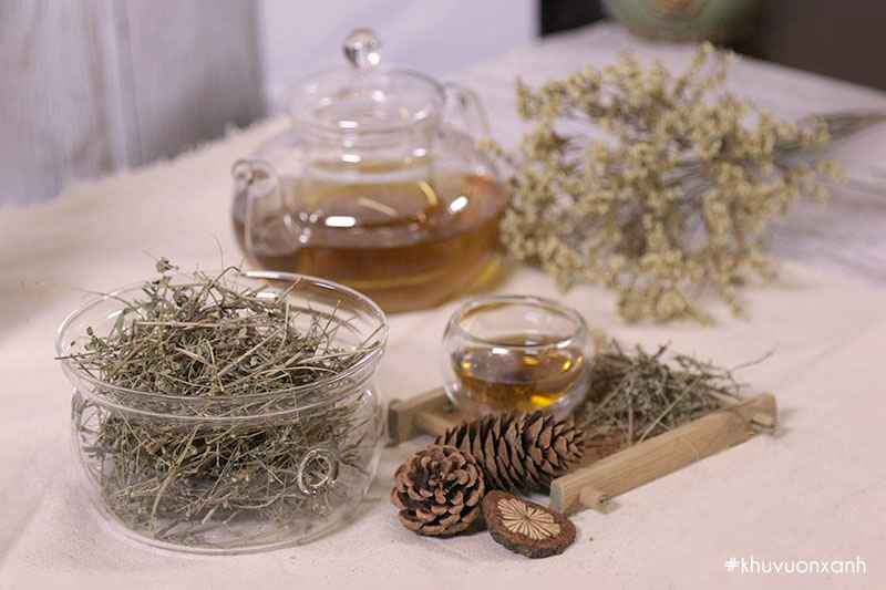 Giảo cổ lam khô được nhiều người tin dùng