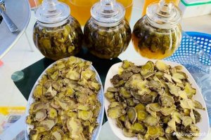 Tác dụng của Tam thất ngâm với Mật ong